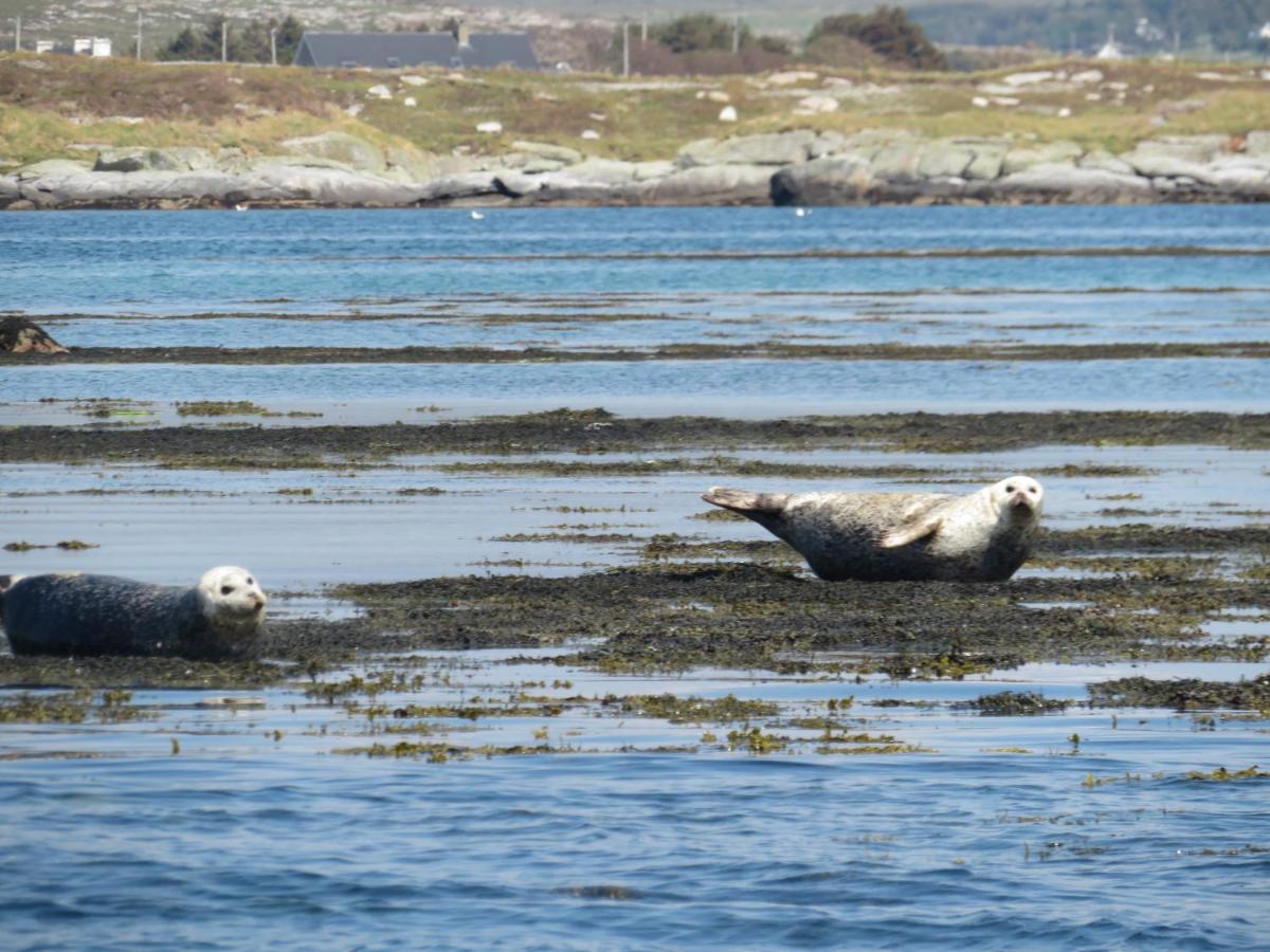 Sea breeze Cottage Dungloe Esterno foto